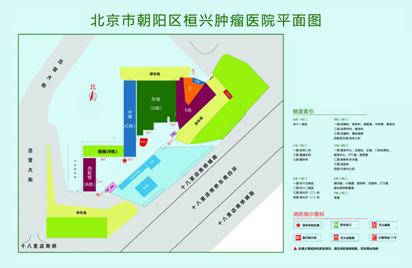 啊啊啊干我操我插我好爽视频北京市朝阳区桓兴肿瘤医院平面图